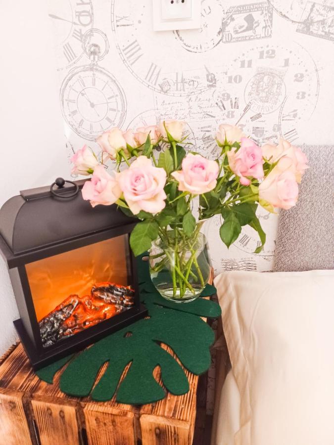 Apartament Laba Sosnówka エクステリア 写真