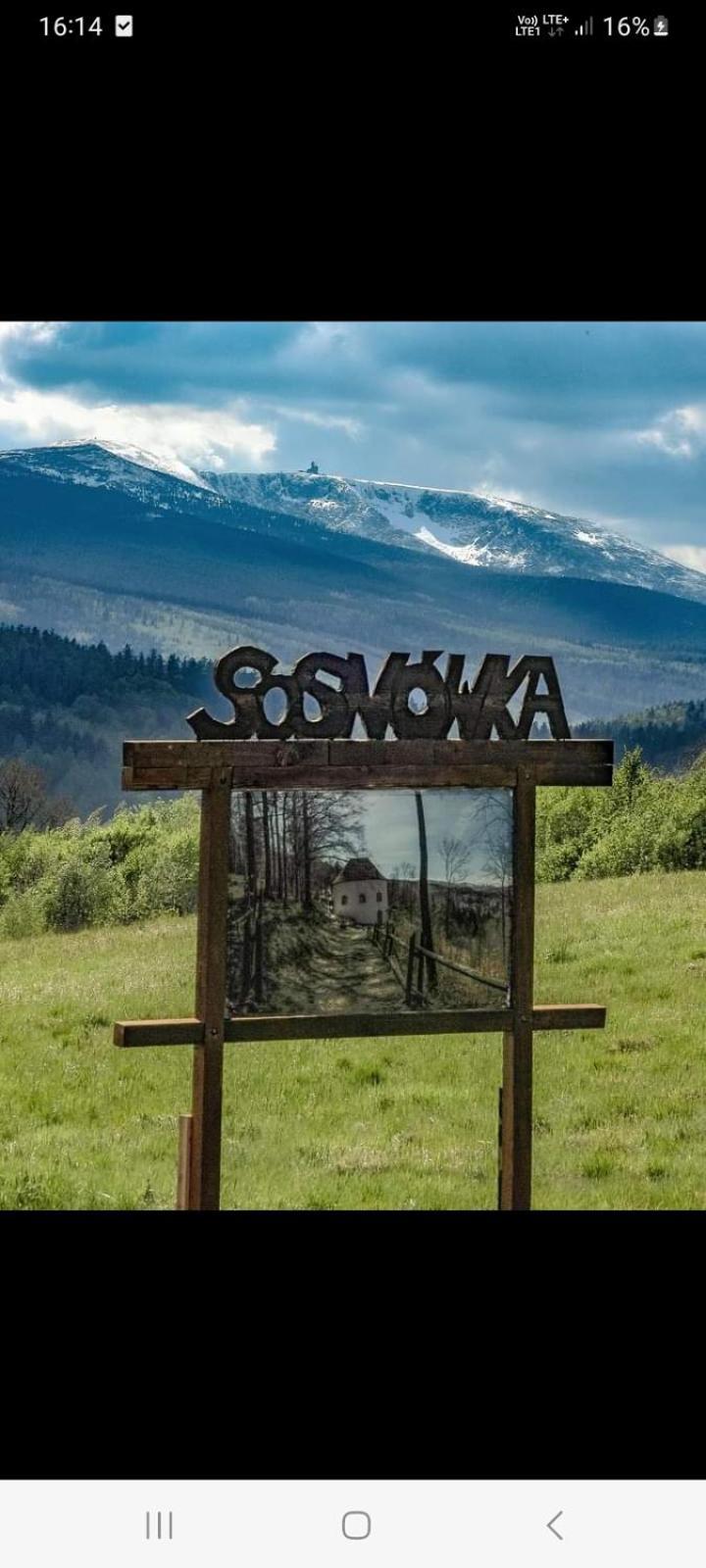 Apartament Laba Sosnówka エクステリア 写真